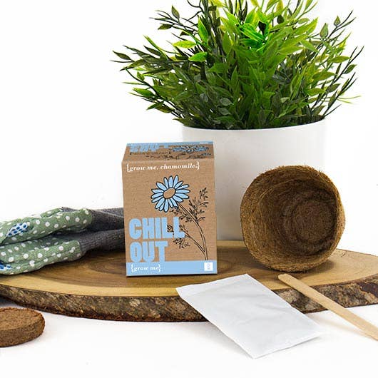 Chill Out - Grow Me Gift Republic
