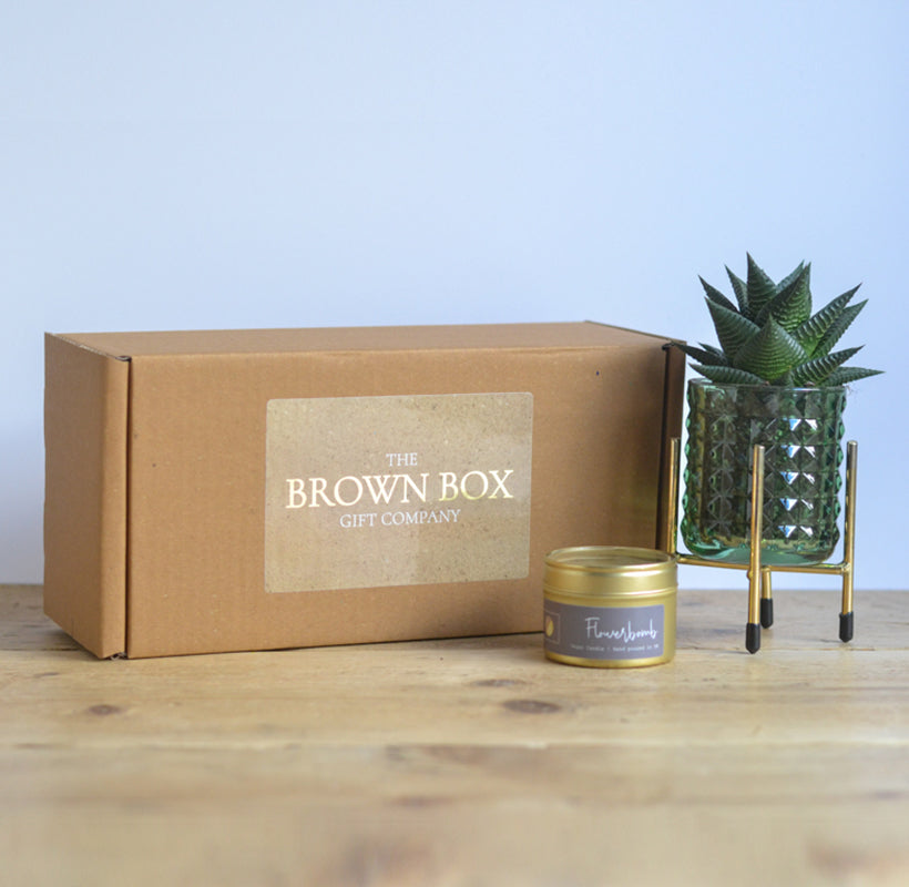 Fresh Succulent & Candle Gift Set – A Perfect Relaxation Gift