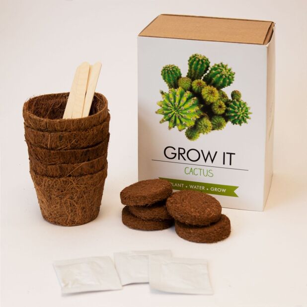 Large Grow It Kit- Cactus