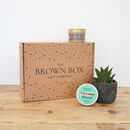 Thoughtful Plant Gift With Candle And Hand Balm The Brown Box Gift Company
