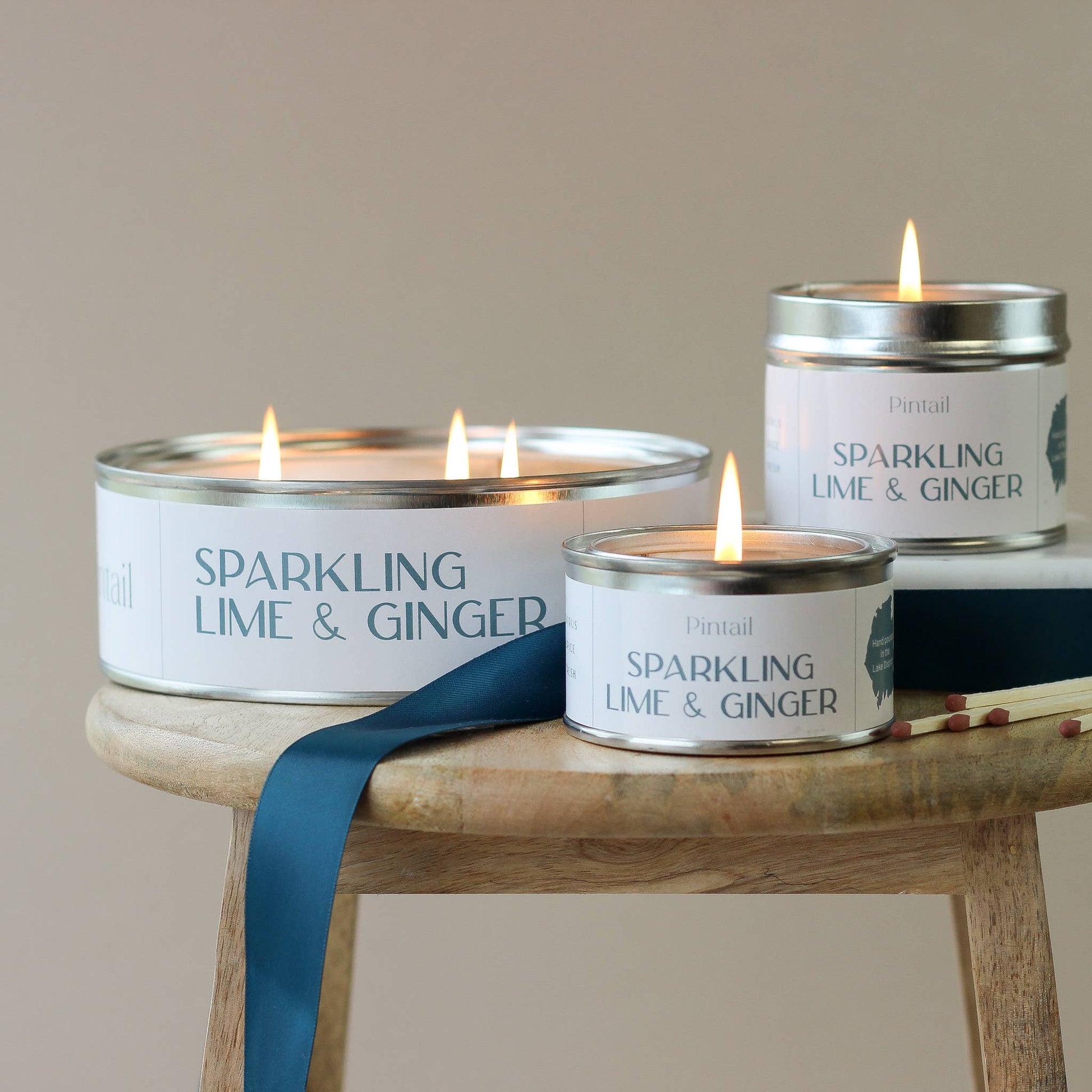 Sparkling Lime and Ginger Paint Pot Candle | Small Candles Pintail Candles | Avalon Home