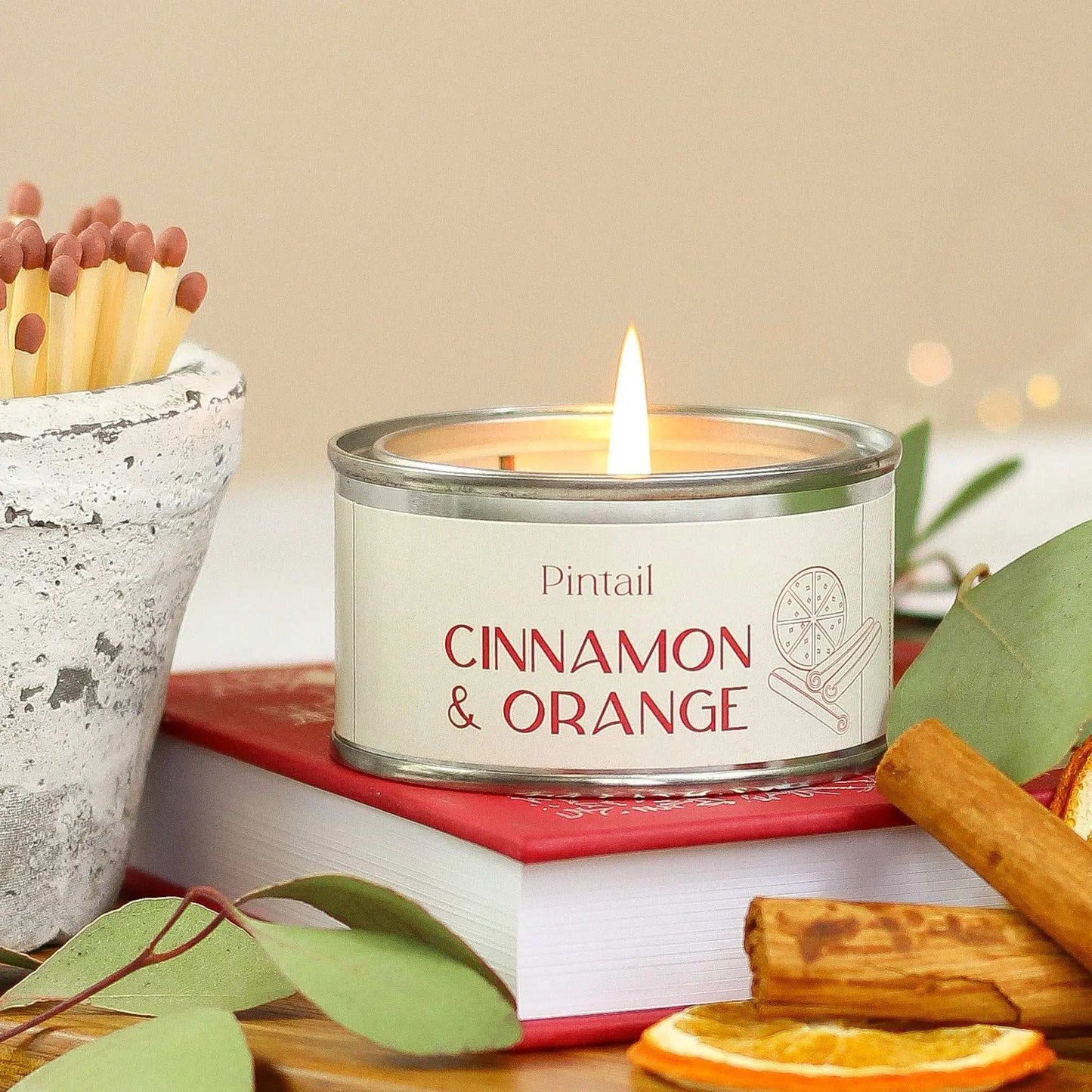 Cinnamon & Orange Paint Pot Candle I Christmas Candle(Pack of 6) Pintail Candles | Avalon Home