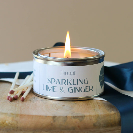 Sparkling Lime and Ginger Paint Pot Candle | Small Candles Pintail Candles | Avalon Home