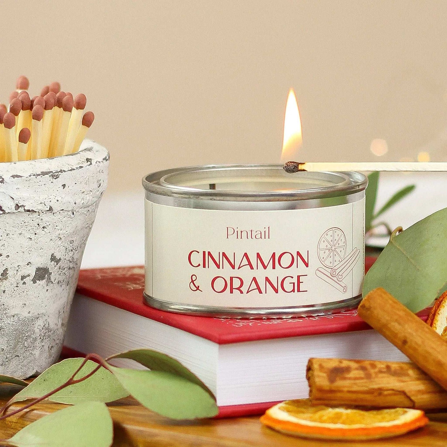 Cinnamon & Orange Paint Pot Candle I Christmas Candle(Pack of 6) Pintail Candles | Avalon Home
