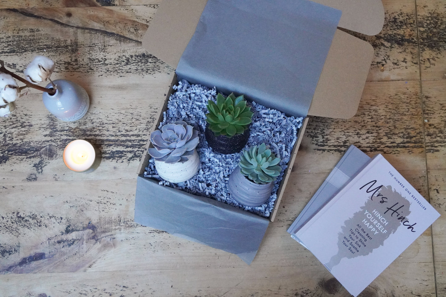 Trio of Fresh Succulents in Ceramic Pots – Modern Plant Gift Set