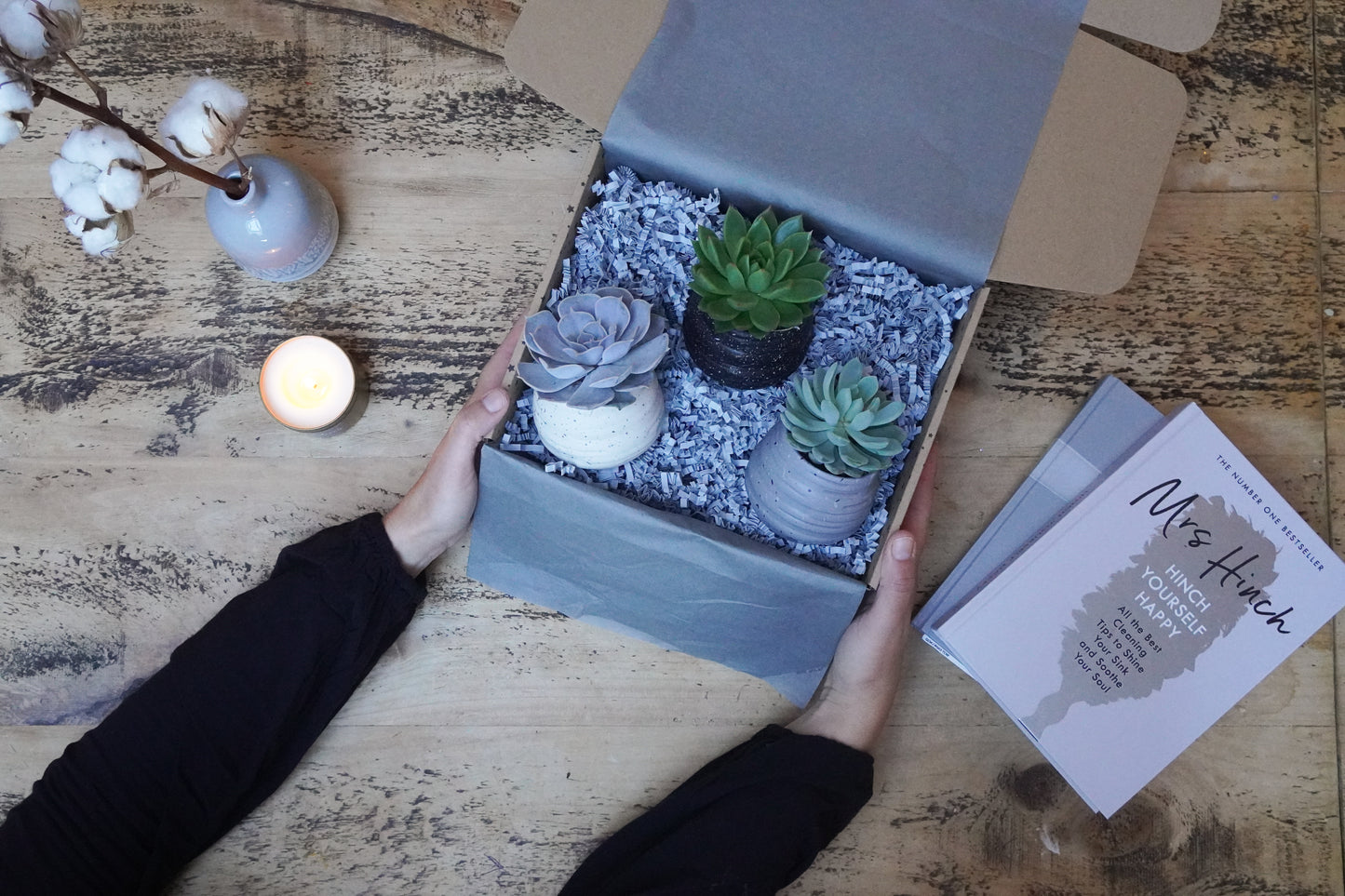 Trio of Fresh Succulents in Ceramic Pots – Modern Plant Gift Set