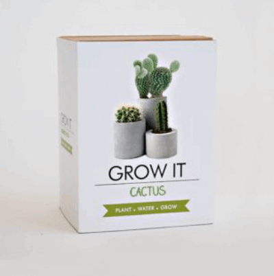 Large Grow It Kit- Cactus The Brown Box Gift Company