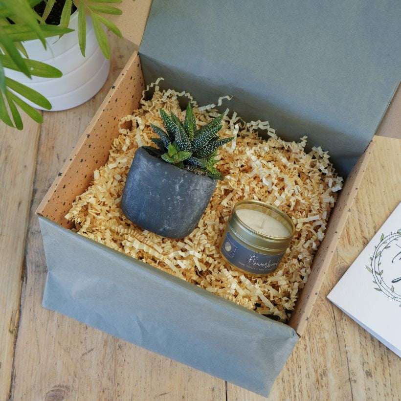 Candle & Potted plant in grey pot The Brown Box Gift Company