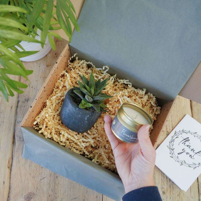 Candle & Potted plant in grey pot The Brown Box Gift Company