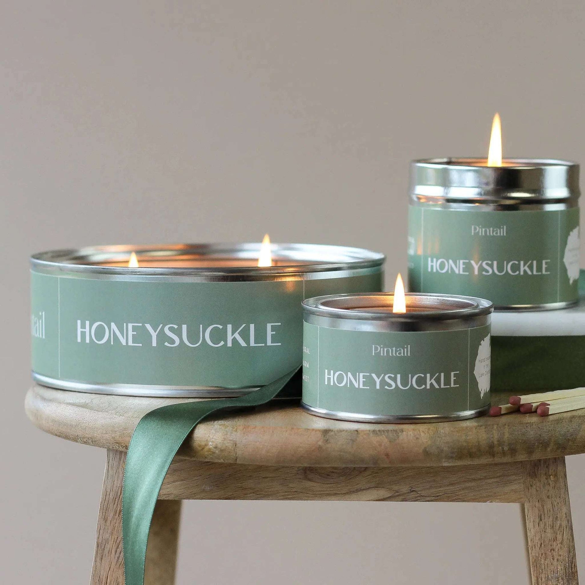 Honeysuckle Paint Pot Candle | Candles in Tins | Small Candl Pintail Candles | Avalon Home