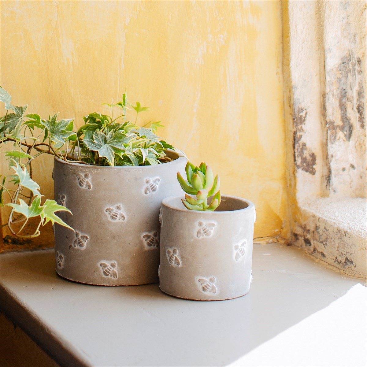 Large Bee-Friendly Plant in Decorative Bee Stone Pot