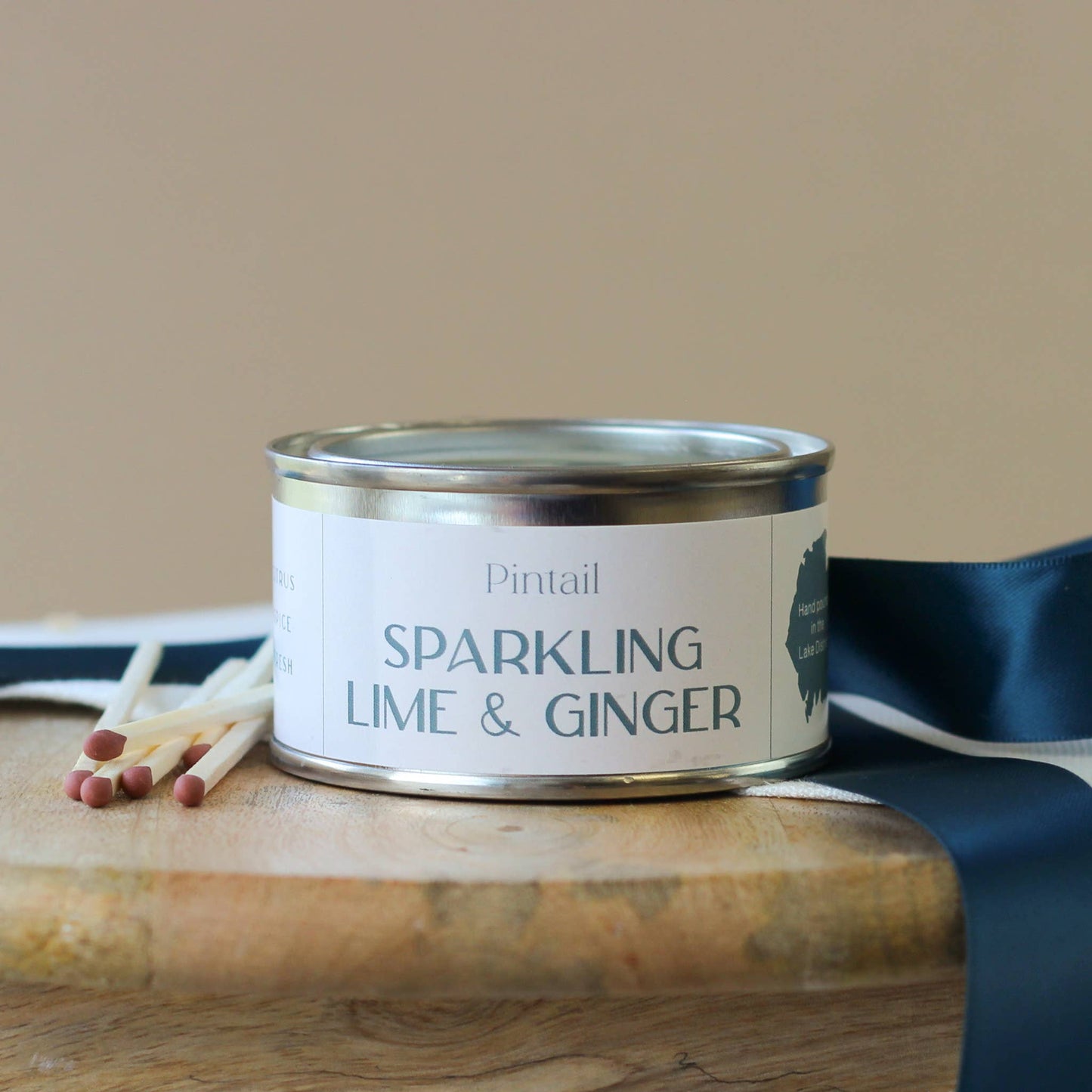 Sparkling Lime and Ginger Paint Pot Candle | Small Candles Pintail Candles | Avalon Home