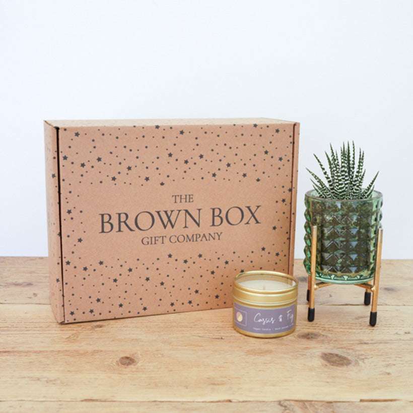 Fresh Succulent & Candle Gift Set – A Perfect Relaxation Gift