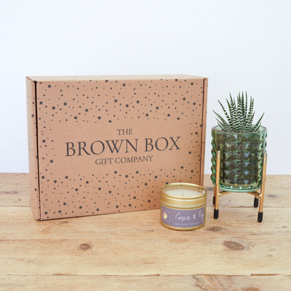 Fresh Succulent & Candle Gift Set – A Perfect Relaxation Gift