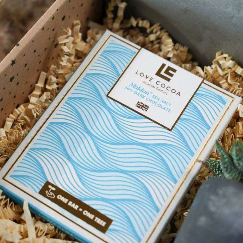 Plant & Chocolate Gift The Brown Box Gift Company