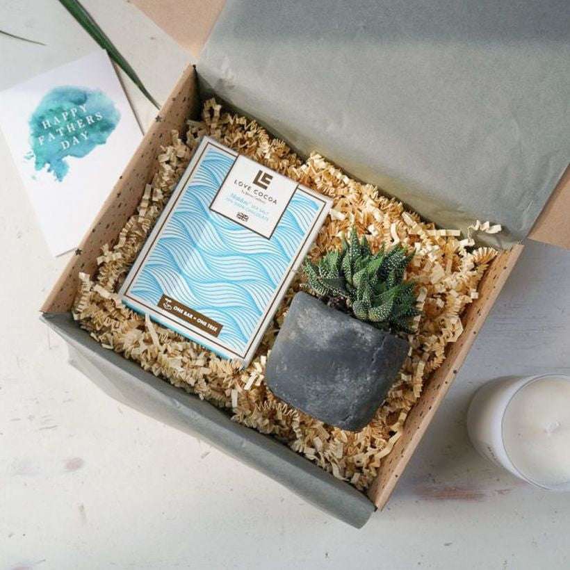 Plant & Chocolate Gift The Brown Box Gift Company